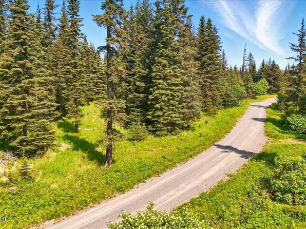 67290 Kiana Dr, Ninilchik, AK 99639