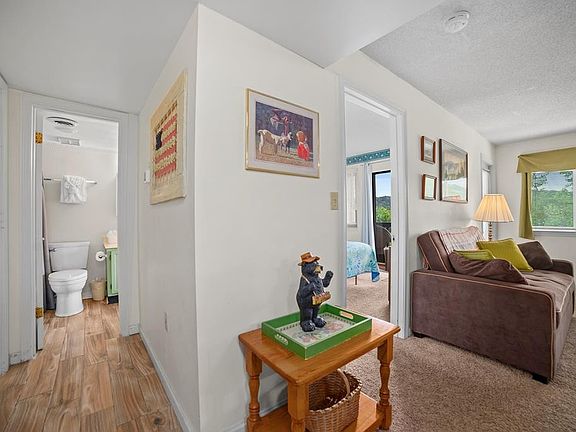 4th image of 1380 Ski View Dr #3201