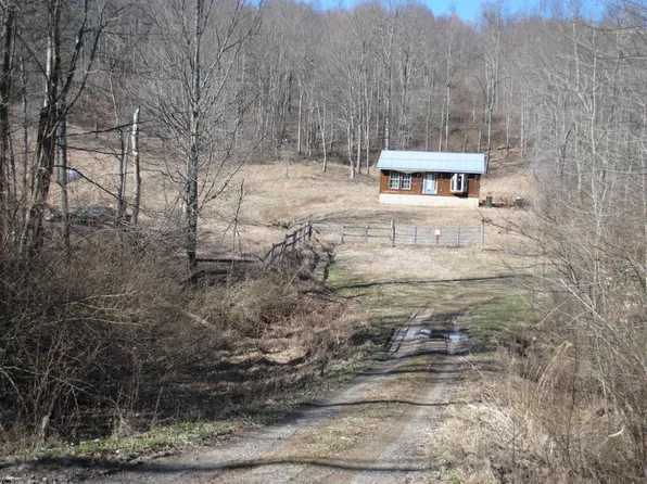 2201 Wash Run Rd, Volga, WV 26238