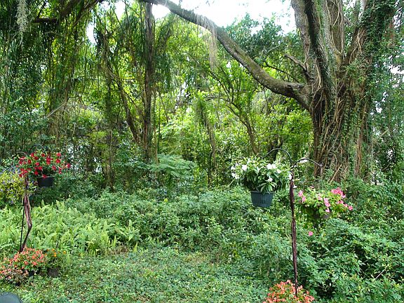 Nephew was married in yard