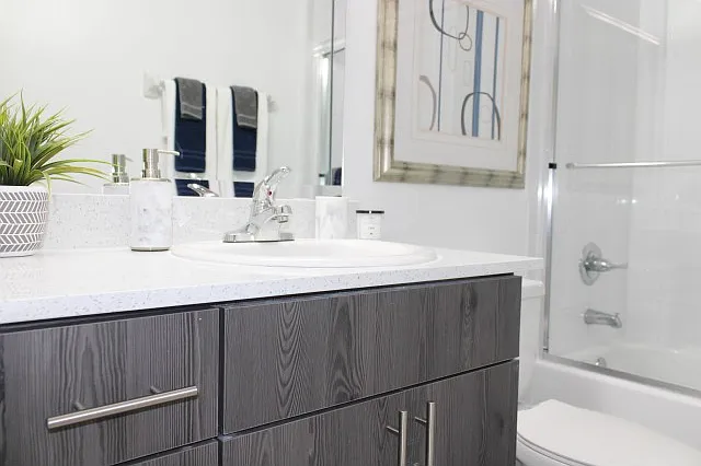 Quartz Countertops with Glass Shower Enclosure