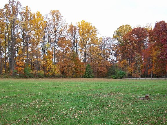 Beautiful pastoral view.