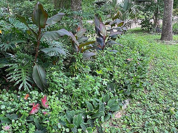 Garden/Landscaping
