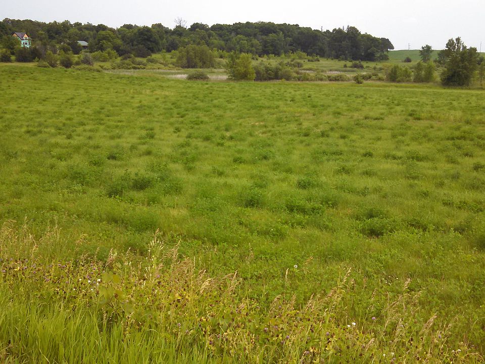 2nd image of Avery Rd