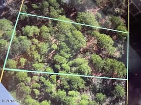 249 S Horsepen Drive, Harrells, NC 28444