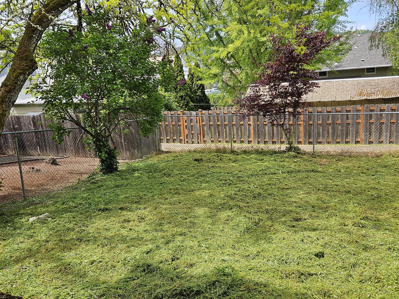 3 bed, 1.5 bath, 1400 sqft, $1,950 — Photo 4