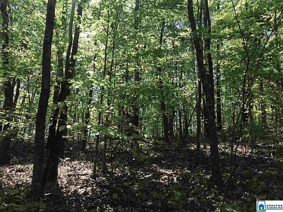 3rd image of 0 Shoal Crest Dr #5