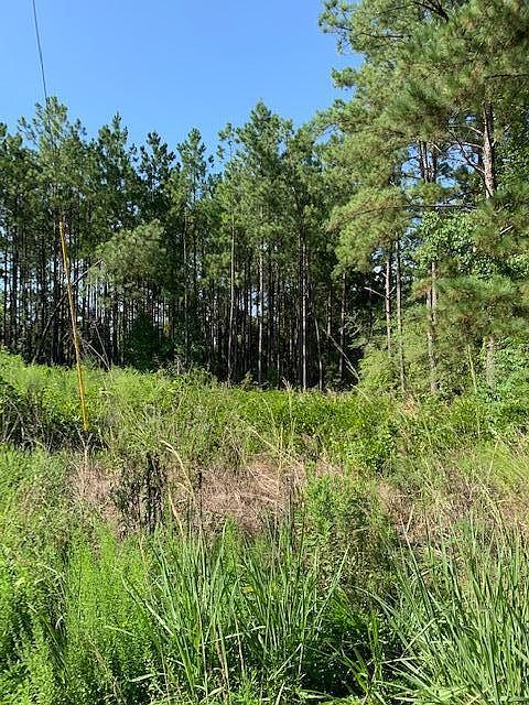 2nd image of Eli Field Rd