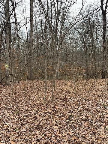 2nd image of 11291 Widenhouse Rd