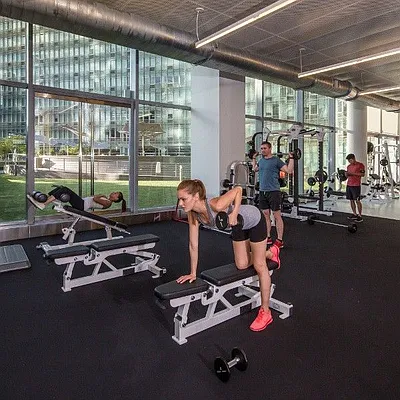 Rented by Two Trees | media 21