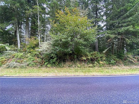 2nd image of 206 Duck Lake Dr SE