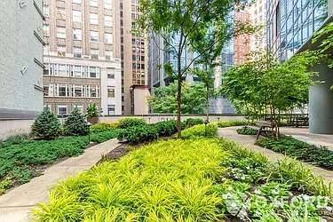 Rented by Oxford Property Group