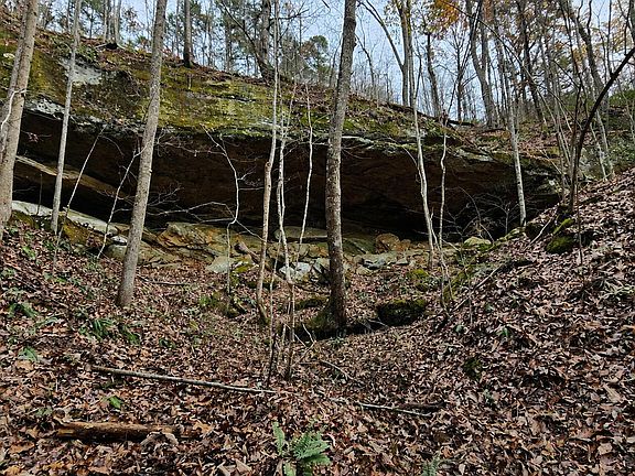 2nd image of 3101 Hazel Patch Rd