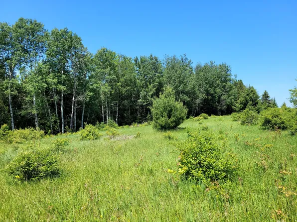 S Ocqueoc Rd, Millersburg, MI 49759