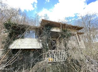 30242 N Fork River Rd, Saltville, VA 24370