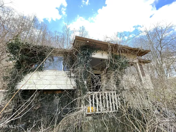30242 N Fork River Rd, Saltville, VA 24370