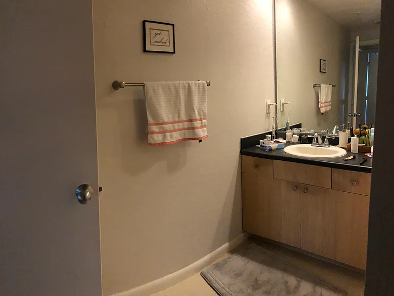 520 S Armenia Ave #1227 — Photo 13