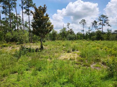 Highway 20, Marianna, FL, 32446