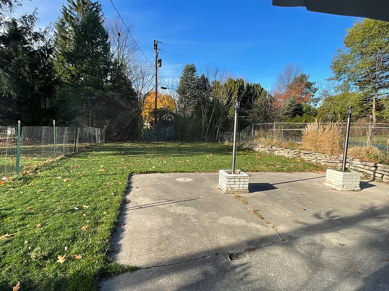 Backyard from basement window