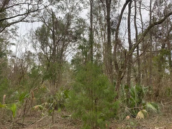 0 114th St, Live Oak, FL 32060