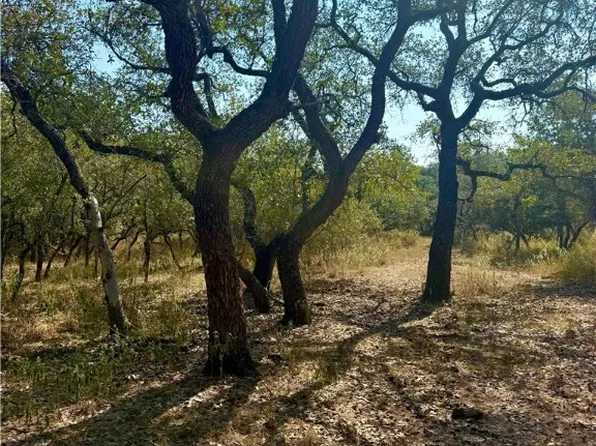 0 County Rd #1066, Hallettsville, TX 77964