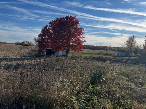 9917 Beecher Rd, Clayton, MI 49235