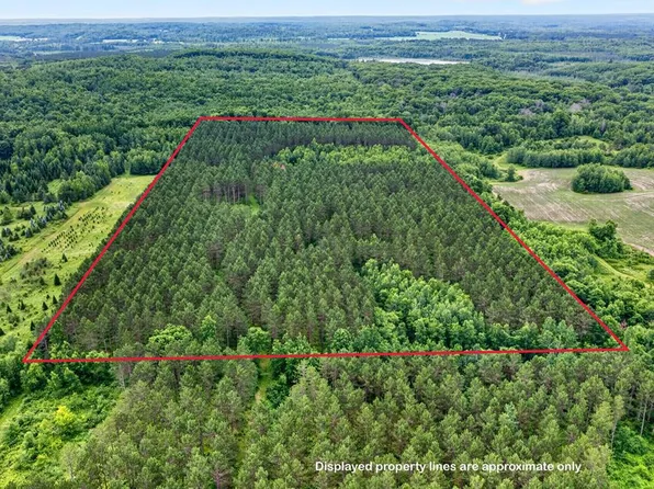 20 Acres S 5th Avenue, Trego, WI 54888