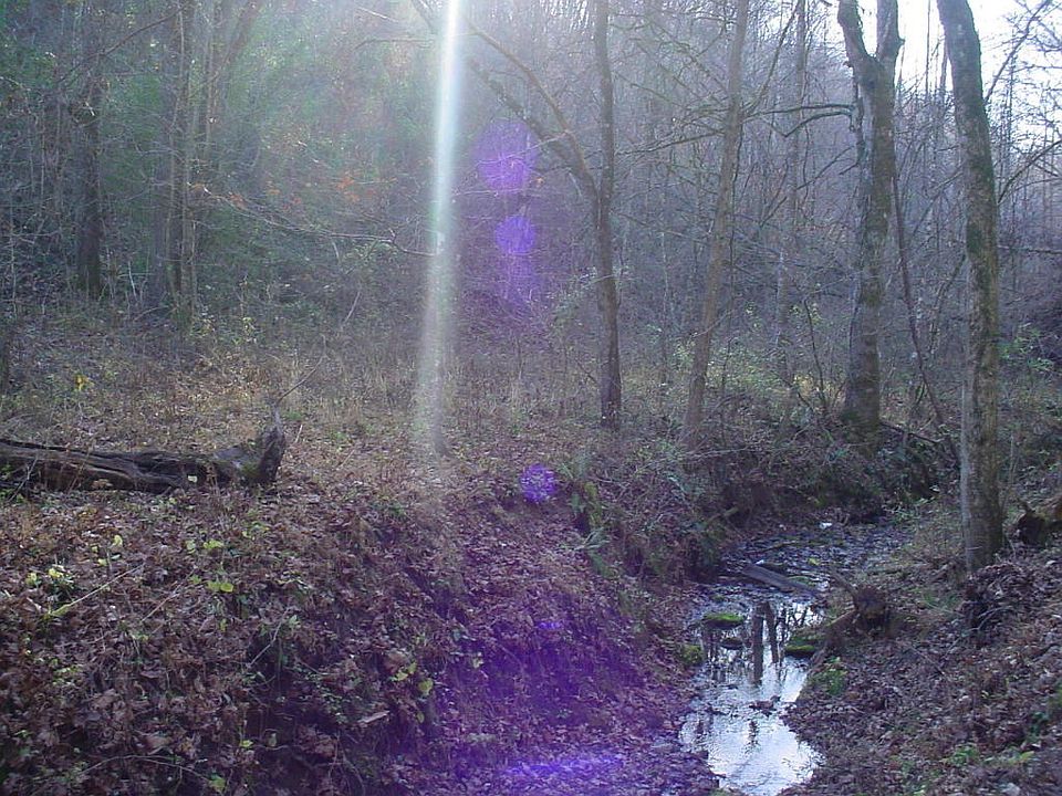 2nd image of Flat Hollow Rd