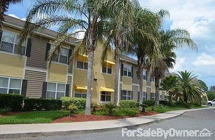 The Palms of Amelia