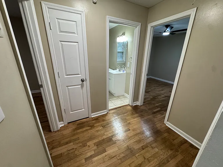 5104 Palmetto Ln — Photo 3