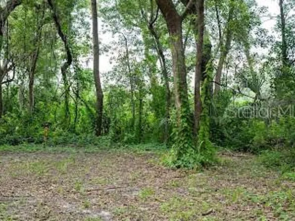 8641 High St, Yalaha, FL 34797