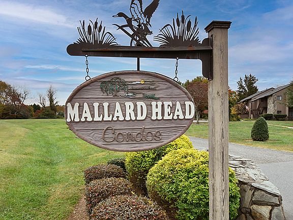 3rd image of 411 Mallard Head Ln