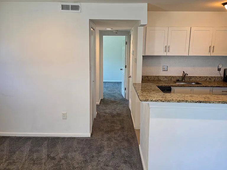 544 Wilson Bridge Dr — Photo 9
