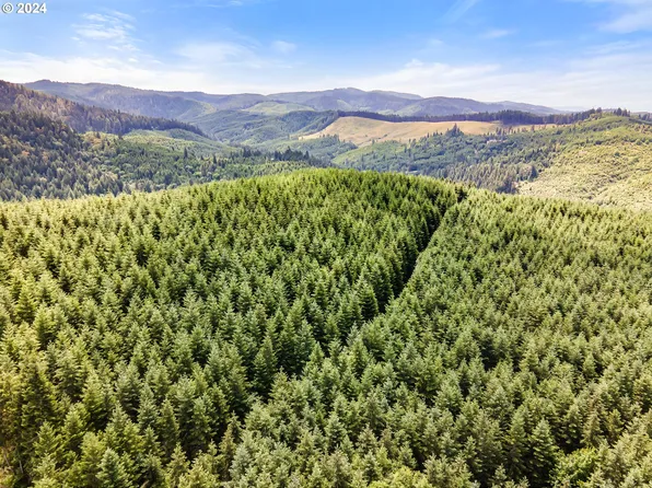 N Bear Creek Rd, Curtin, OR 97424