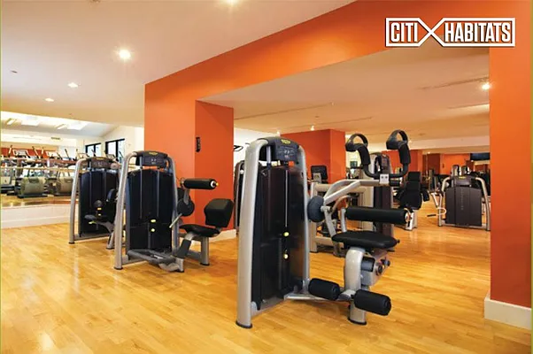 Rented by Citi Habitats | media 12