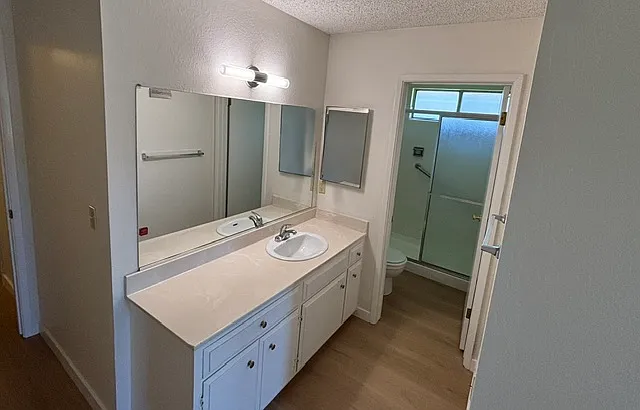 Primary Bath and walk in shower