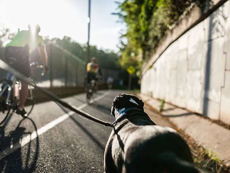 We are right next door to Path 400 Greenway when you need a breath of fresh air.