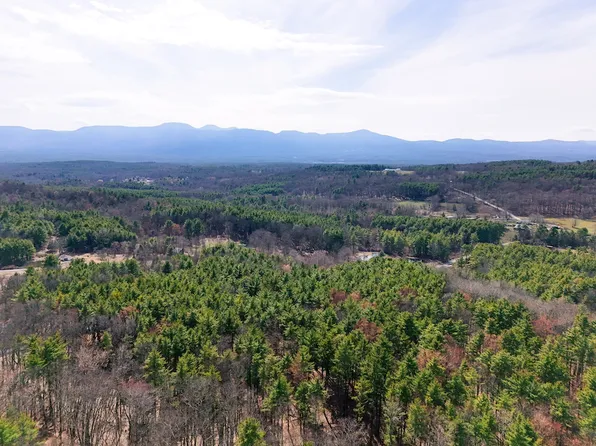 457 Drake Hill Rd Lot Wp002, Freehold, NY 12431