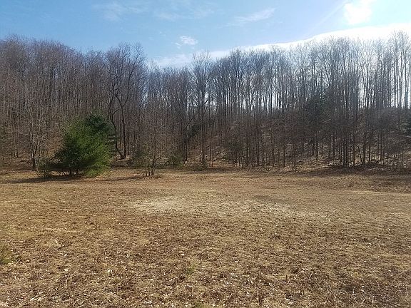 5th image of Pinedale Dr