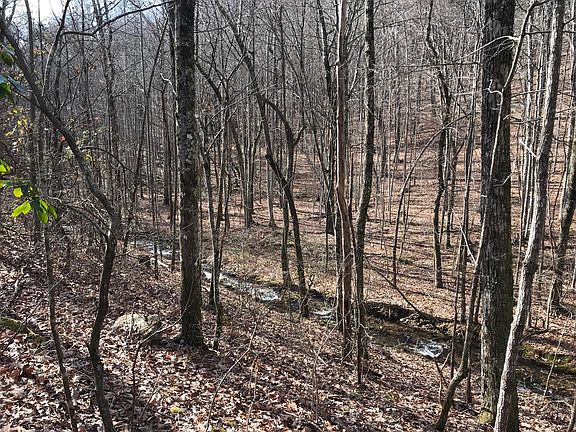 2nd image of 21 Duckwood Ln Lot 21