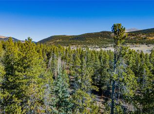 235 Willow Ln, Alma, CO 80420