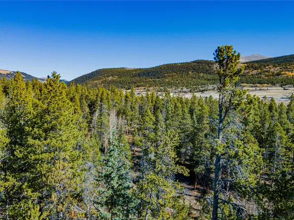 235 Willow Lane, Alma, CO 80440