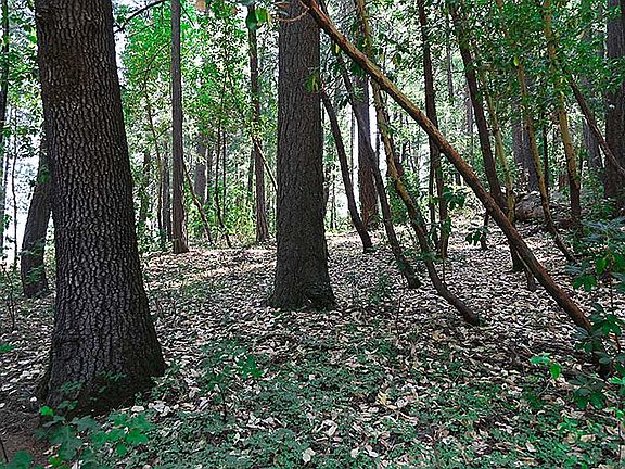 2nd image of 14818 Lake Lane