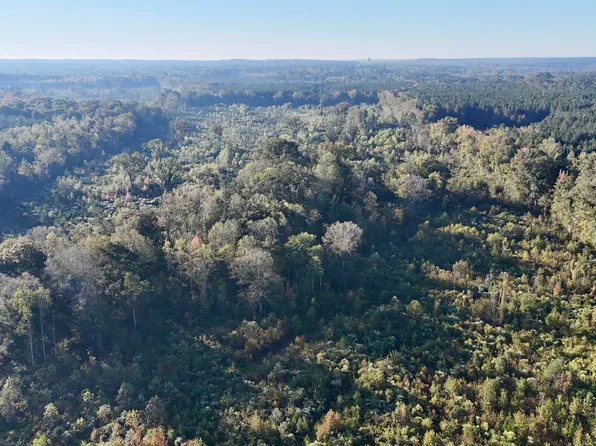 Highway 15, Union, MS 39365