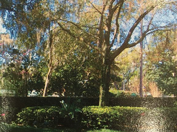 3rd image of 6804 Linford Ln