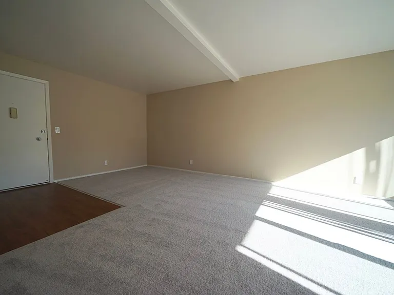 202 Samson — Photo 11