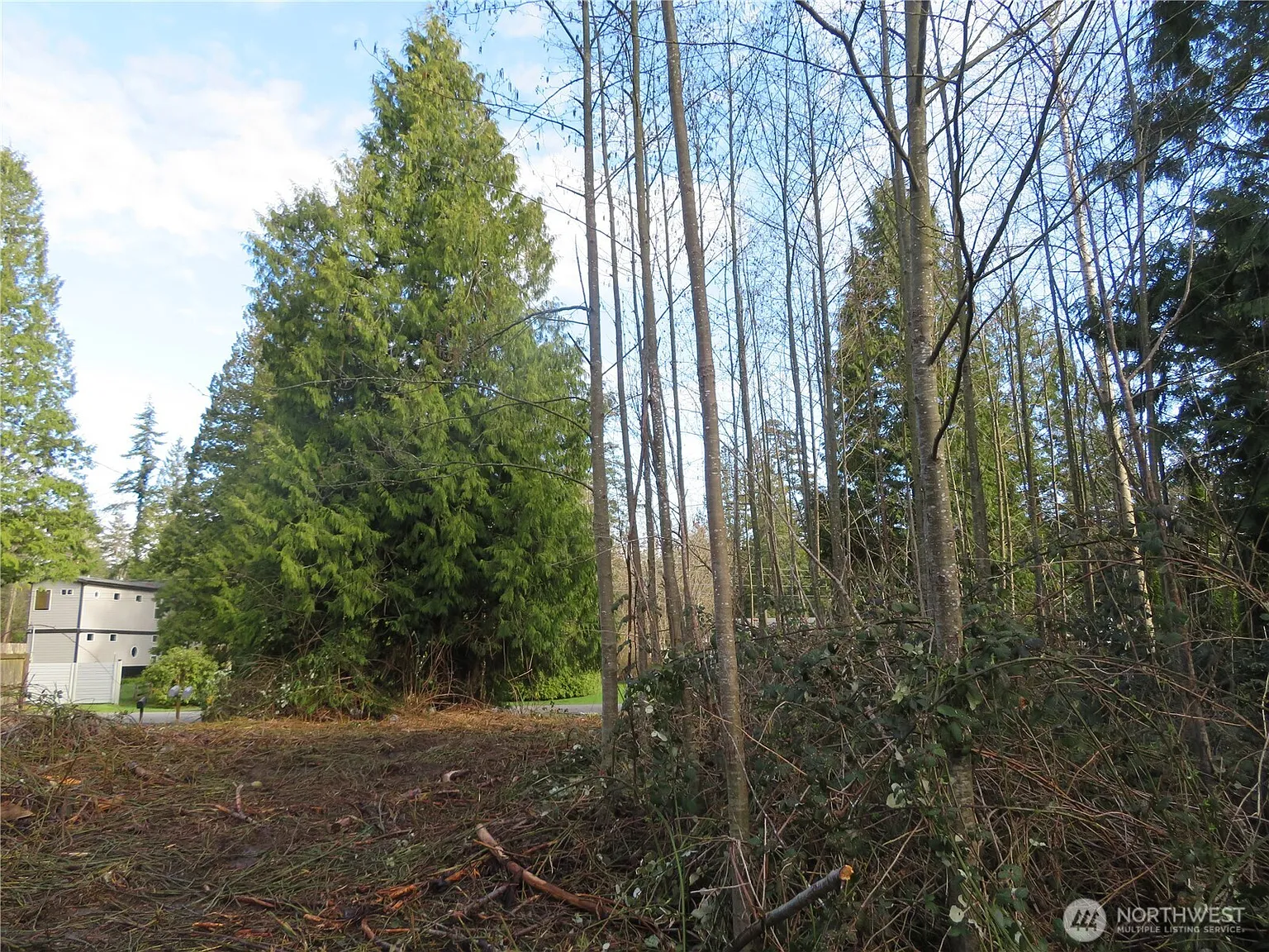 4641 California Trail photo 1