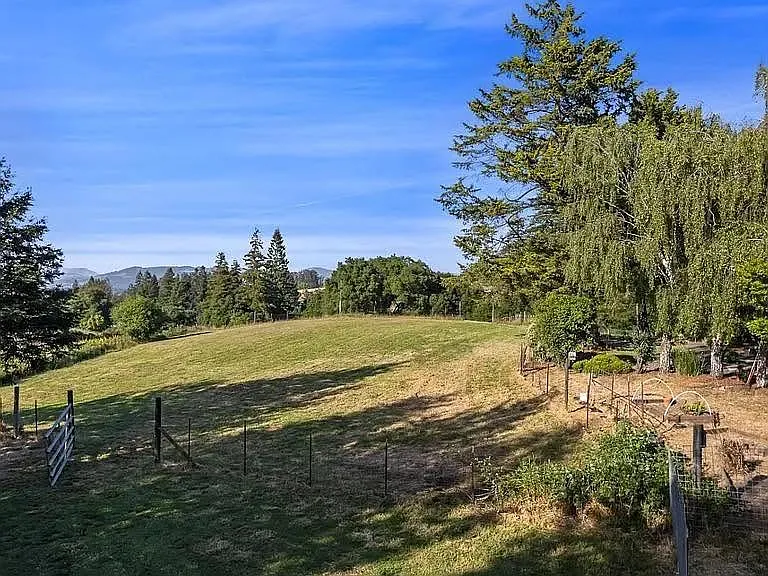 1187 Debbie Hill Rd — Photo 11
