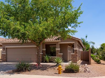 1461 W Brangus Way, San Tan Valley, AZ, 85143