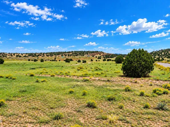 35-9 Fort Rock Rd, Seligman, AZ 86337